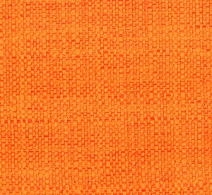 LINO 19